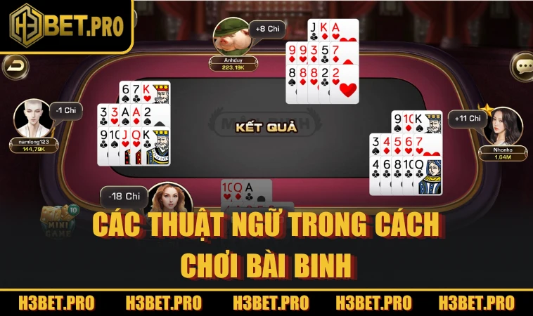 Các thuật ngữ trong cách chơi bài binh